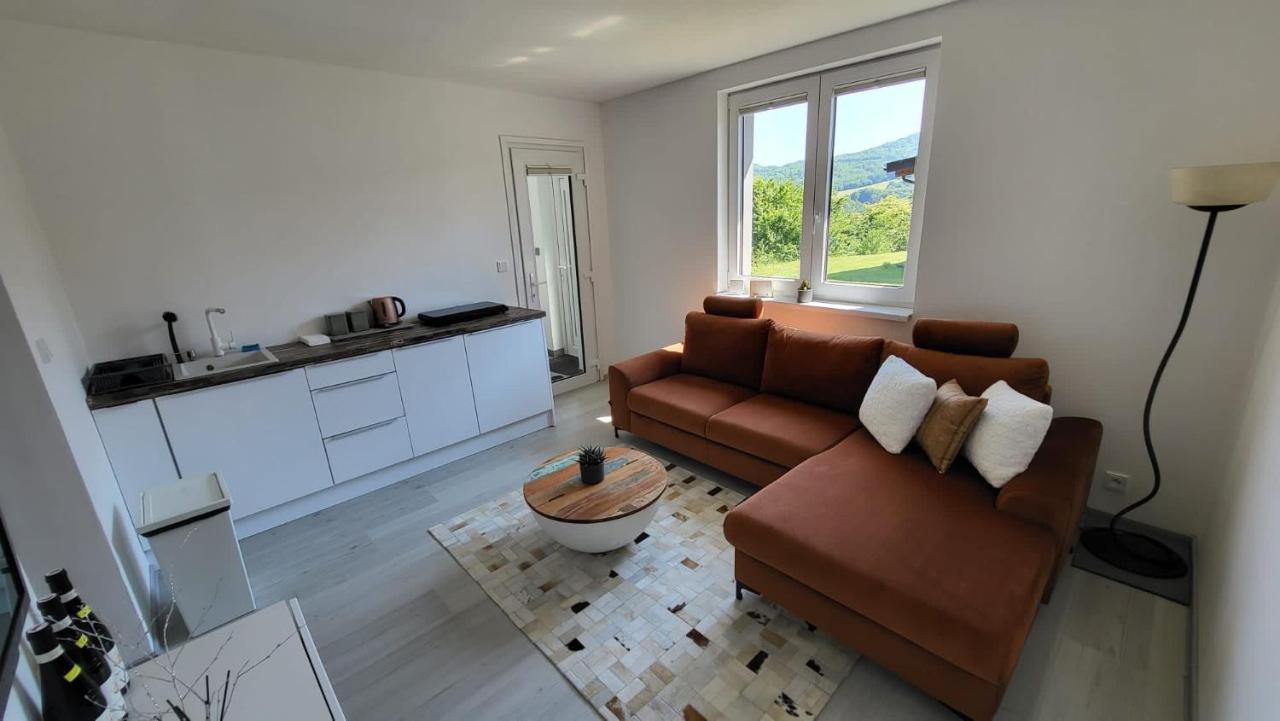 Apartman S Bazenem A Saunou Kadan Luaran gambar