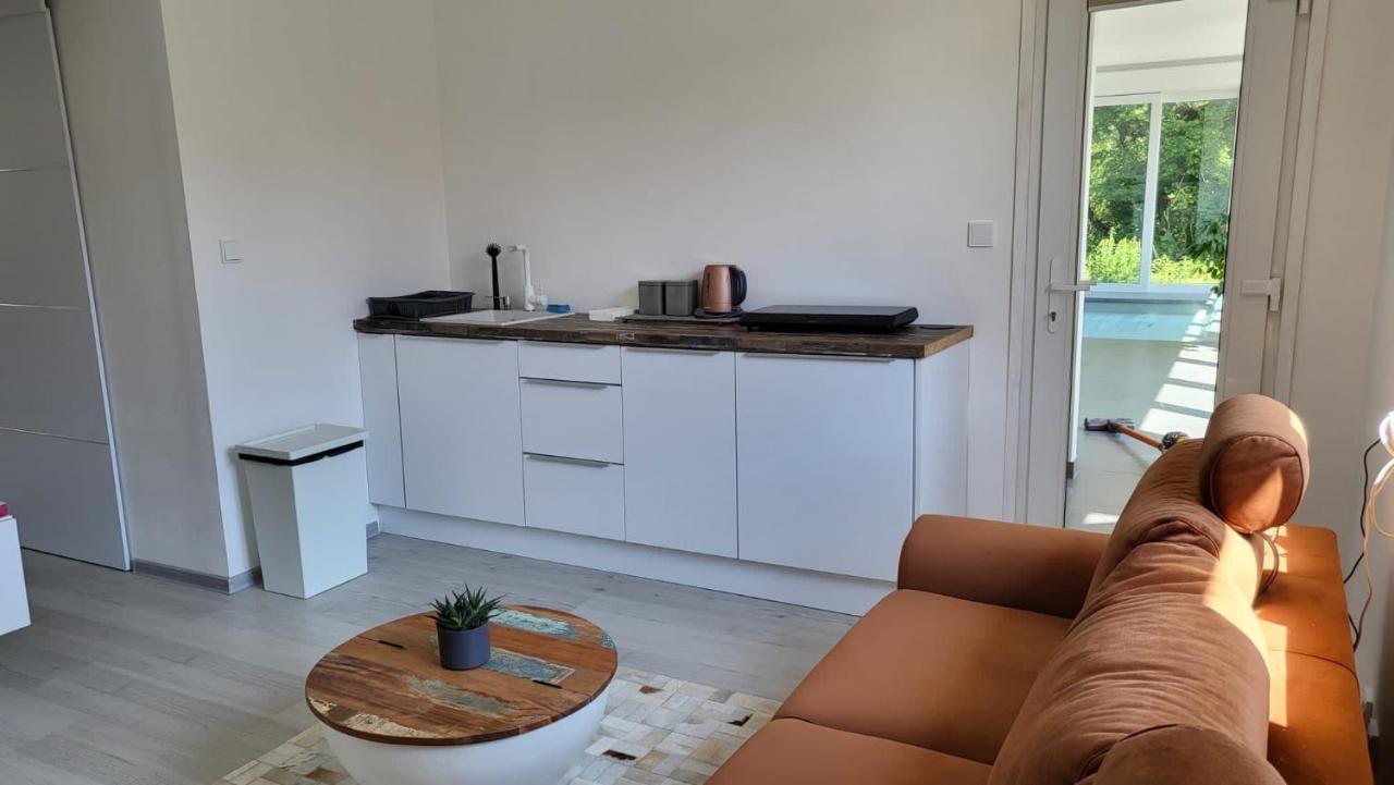 Apartman S Bazenem A Saunou Kadan Luaran gambar